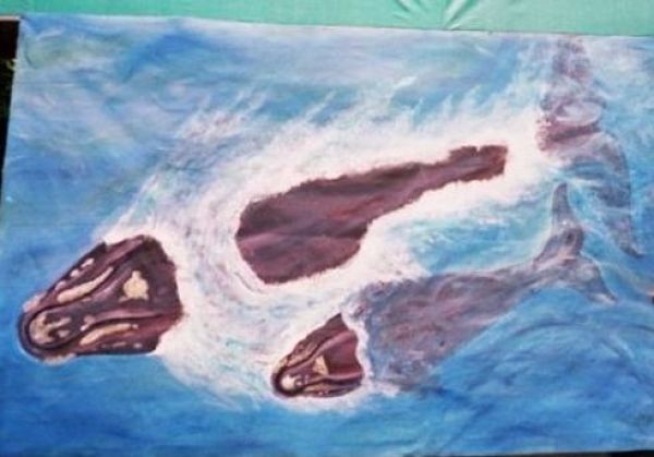 dutch_tourism_show_walvis_2mx_1_crop